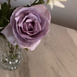 Meet your Posher, Miranda